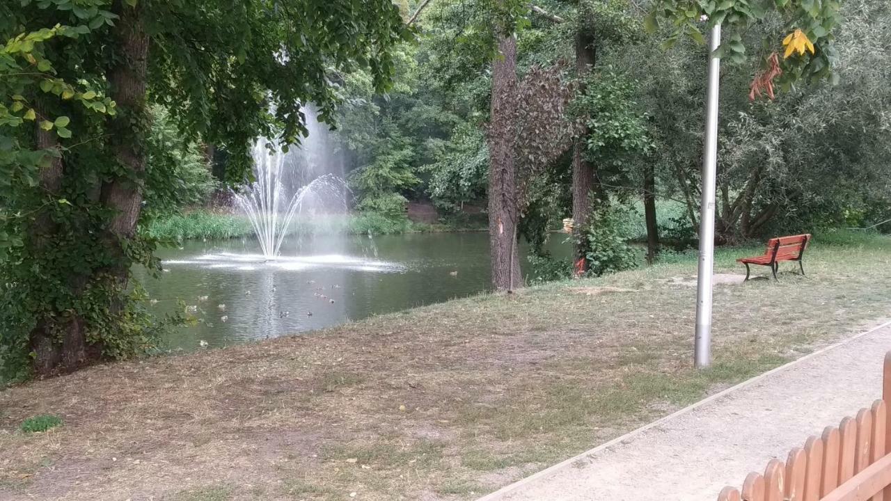 Apartment Red Kot Zielona Gora (Lubuskie)